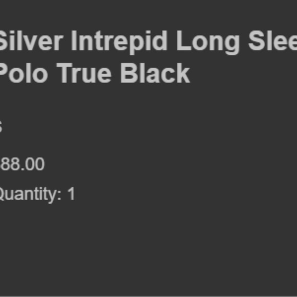 Silver intrepid, long sleeve polo, true black - Picture 2 of 6